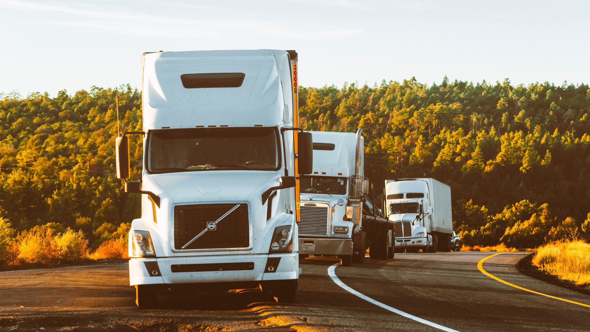 Picture of trucks